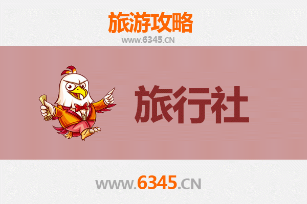 九龙城本地旅行社深度推荐：解锁地道文化与隐秘景点