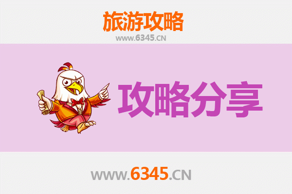 九龙城旅游攻略：跟团与自由行全方位对比